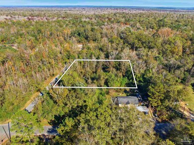 1100 McKinnonville Rd, Molino, FL 32577 - photo 5