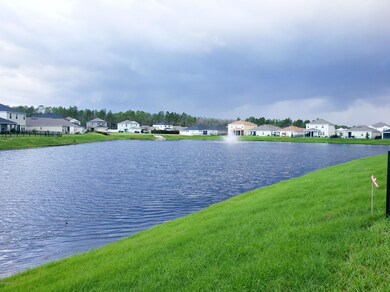 Pond view