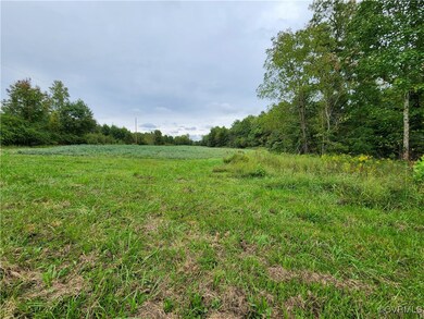 View of local wilderness with a rural view