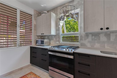 357 Fuerte, San Juan, PR 00911 - photo 4