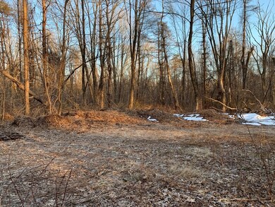 22 Union St, Blackstone, MA 01504 - photo 5