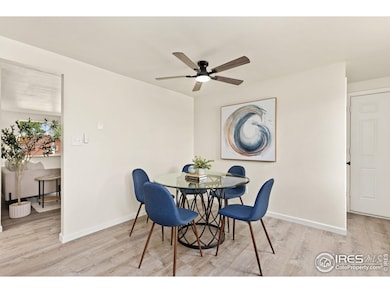 262 E 5th Ave, Longmont, CO 80504 - photo 7