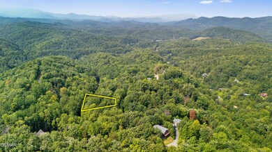 L 10/11 Bluebird Ridge Way, Sevierville, TN 37876 - photo 2