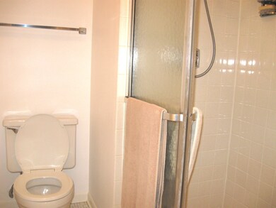 2109 Ammer Ridge Ct unit 202, Glenview, IL 60025 - photo 5