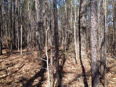 21 Rivermist Rd, Juliette, GA 31046 - photo 3