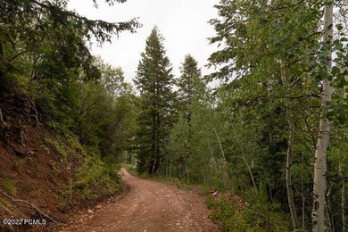 594 Porcupine Loop Coalville-small-037-0
