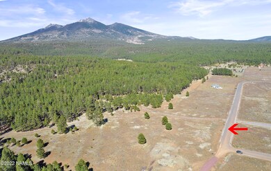 DJI_0039-Edit