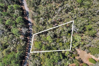 987 E Odin Dr, Citrus Springs, FL 34434 - photo 2