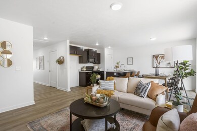 11-web-or-mls-DSC08576