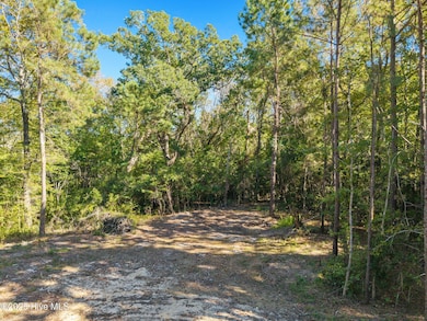 9-web-or-mls-CamMediaLLC.com (7 of 17)