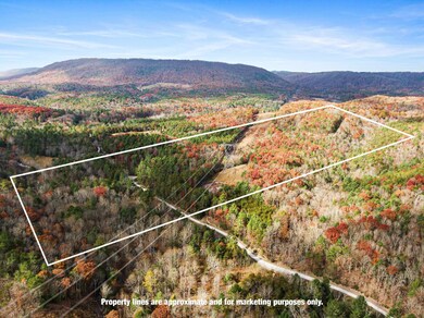 TBD Millers Creek Rd, Max Meadows, VA 24360 - photo 3