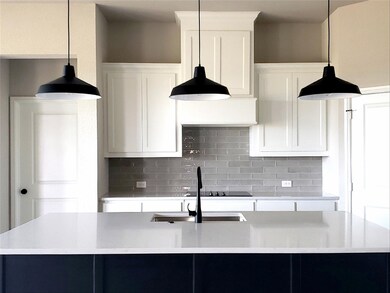 7911 S Fm 51, Boyd, TX 76023 - photo 6