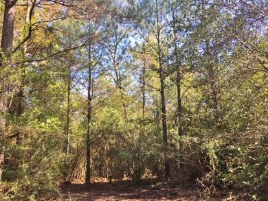 000 Candy Ln, McComb, MS 39648 - photo 2