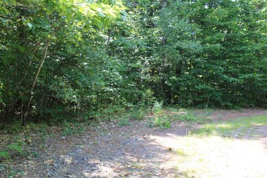 Lot #7 Deer Ridge Rd, Wakefield, NH 03872 - photo 3