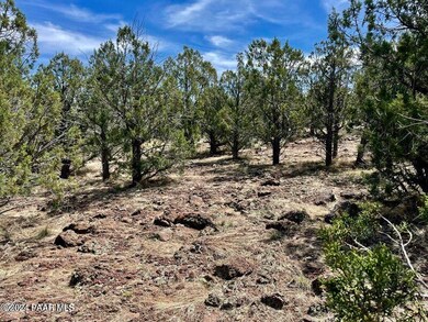 2026 Albert Way, Ash Fork, AZ 86320 - photo 5