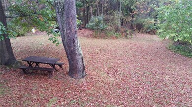 back yard view from deck