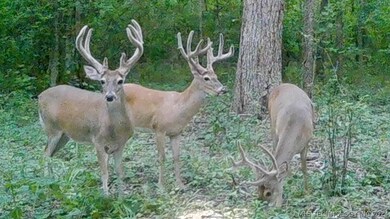 107 N Lewis Ave, Sperry, OK 74073 - photo 4