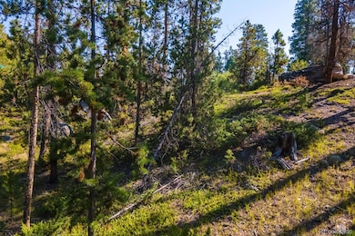 917 Tallaqua Dr, Grand Lake, CO 80447 - photo 3