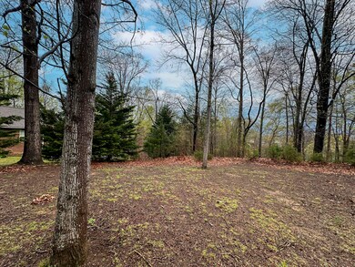 0 David Swann Dr unit 1525006, Dandridge, TN 37725 - photo 7