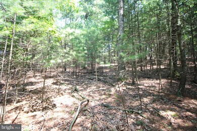 Lot 14 Slate Rock Pass Rd, Wardensville, WV 26851 - photo 2