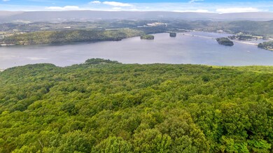 0 N Bluffs Rd unit RTC2709836, South Pittsburg, TN 37380 - photo 5