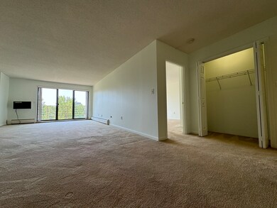 Horizon East unit 310, Watertown, MA 02472 - photo 4
