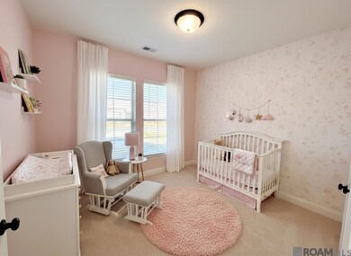 6532 Nesting Dr, Gonzales, LA 70737 - photo 7