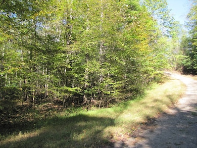 Lot 42 Melmark Acres Trail, Stuart, VA 24171 - photo 2