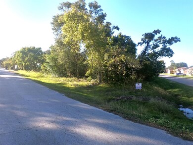 Another view of the corner lot