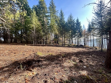 9562 Cook-Underwood Rd, Underwood, WA 98651 - photo 3