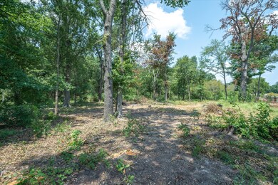 TBD I-20 Service Rd, Wills Point, TX 75169 - photo 6