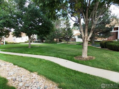 Backs to Courtyard