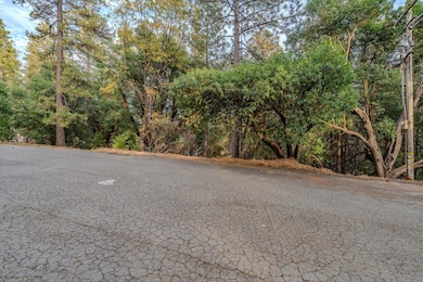 17686 S Mace Dr, Pioneer, CA 95666 - photo 6