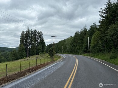 0 Bunker Creek Rd unit NWM2433960, Adna, WA 98522 - photo 2