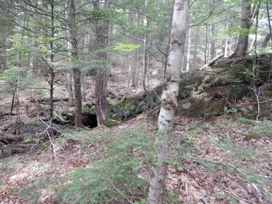 18-8 Currier Hill, Wentworth, NH 03282 - photo 6