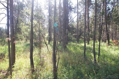 16845 Hermosa Dr, Bend, OR 97707 - photo 2