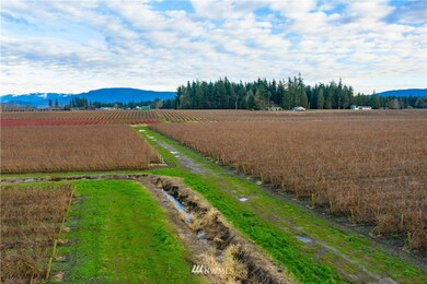 508 E Pole Rd, Lynden, WA 98264 - photo 6