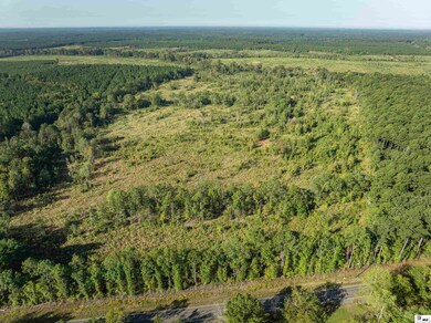 000 Highway 143, Linville, LA 71206 - photo 5