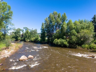 303 Riverview Way, Steamboat Springs, CO 80487 - photo 5