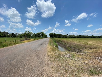 0 County Rd 115 unit 68733437, Nada, TX 77460 - photo 3