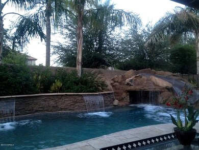 Poolside Relaxation