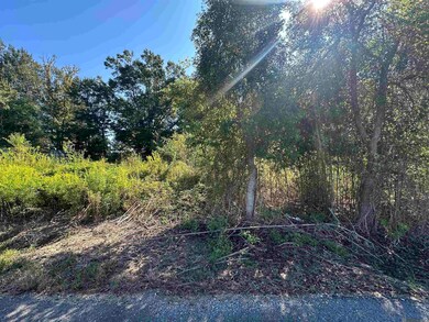 .31 Acres Rod Anderson Rd, St. Amant, LA 70774 - photo 6