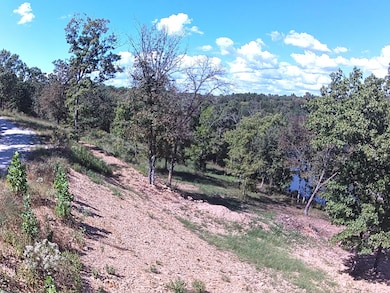 #3 Ledge Rock Ln unit Lot 3, Omaha, AR 72662 - photo 7