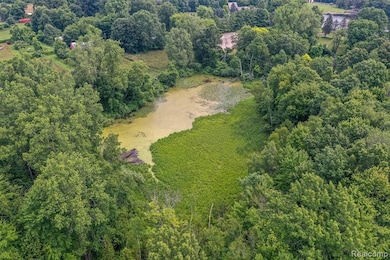 Pond on north end of property