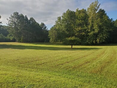Open Field