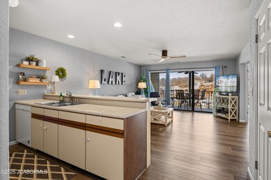 233 Indian Pointe unit 233, Osage Beach, MO 65065 - photo 4