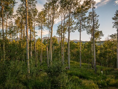 Aspen View