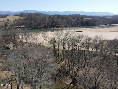 Tbd River Village Ln, Afton, TN 37616 - photo 5