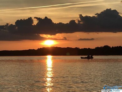 3152 Dykes Bridge Rd unit 205, Cedar Bluff, AL 35959 - photo 2