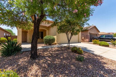 05 - Palo Verde